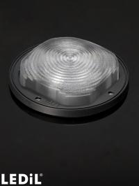 FN14720_STELLA-FRESNEL